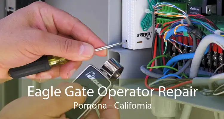 Eagle Gate Operator Repair Pomona - California